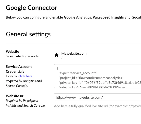 Open JSON Key and paste it to Umbraco back-office